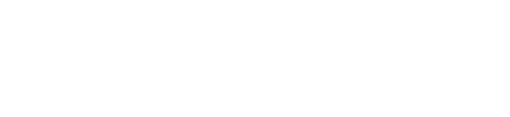 Viscovery_logo_white